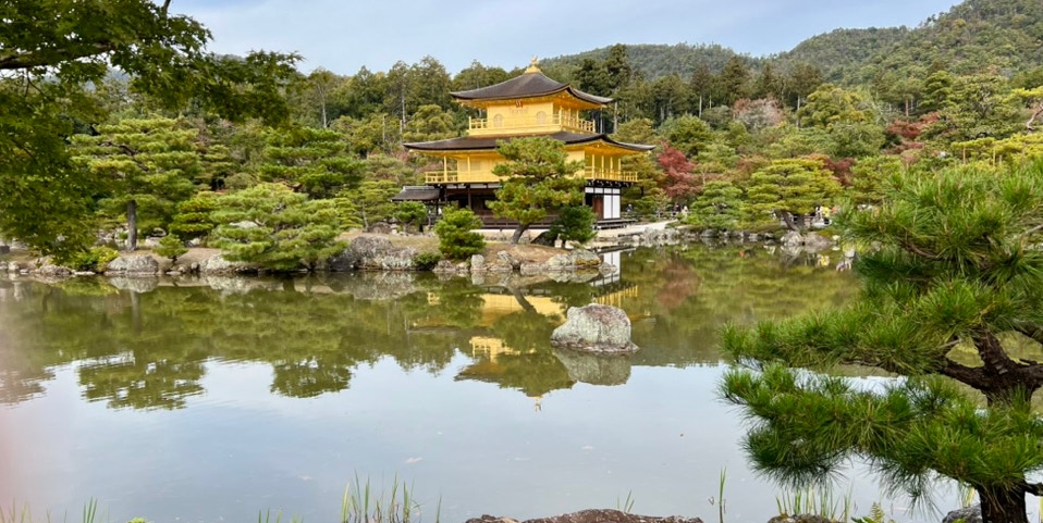 Woman in a conical hat observes pink donation notes at a Vietnamese temple.